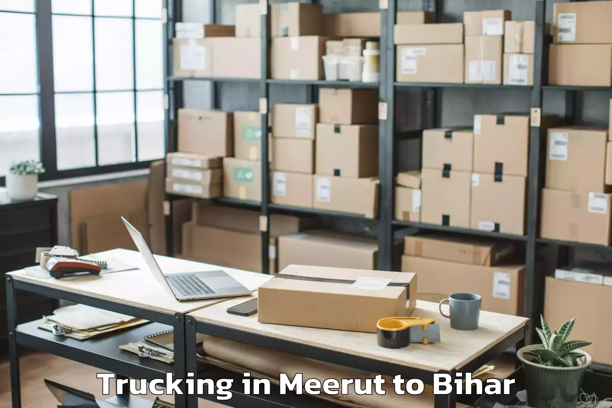 Book Meerut to Majhaulia Trucking Online